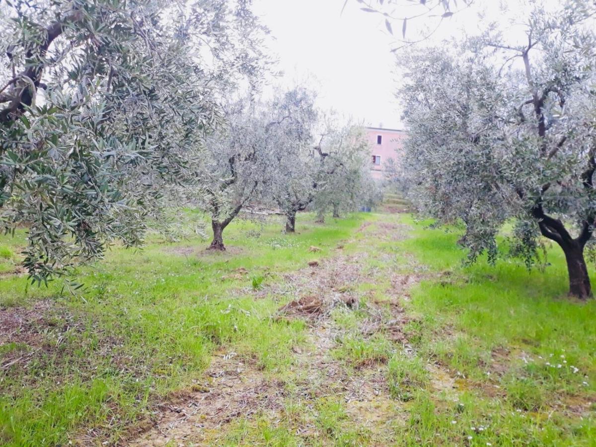 Ellebi B&B Montone  Εξωτερικό φωτογραφία