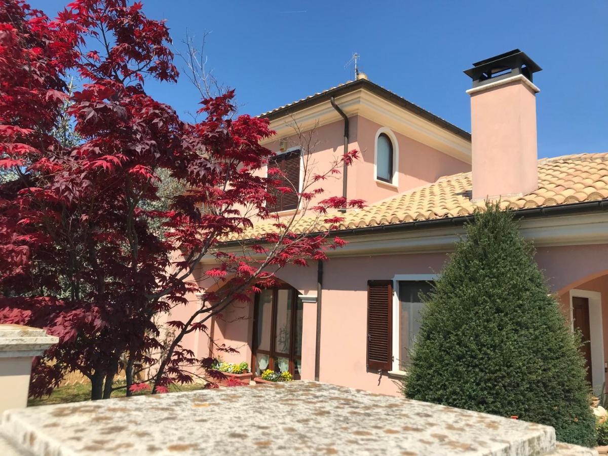 Ellebi B&B Montone  Εξωτερικό φωτογραφία